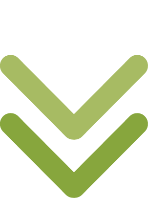 Arrows